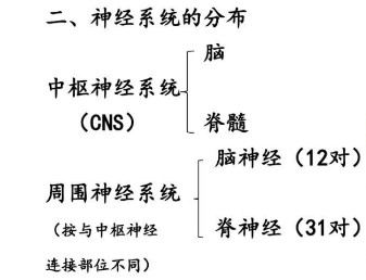 明升mansion88(中国游)手机版app下载