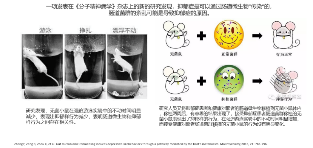 明升mansion88(中国游)手机版app下载